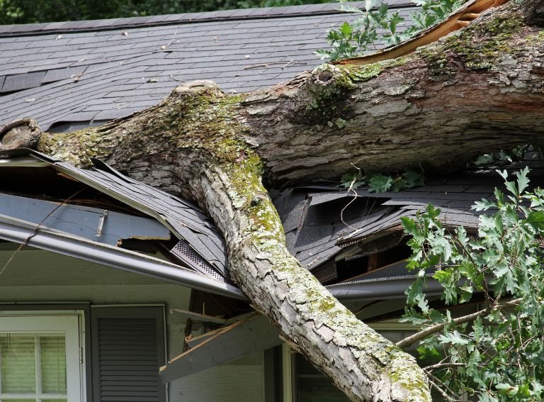 Roof damaged by a storm.